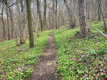 23-03-17 11-32-03 4891